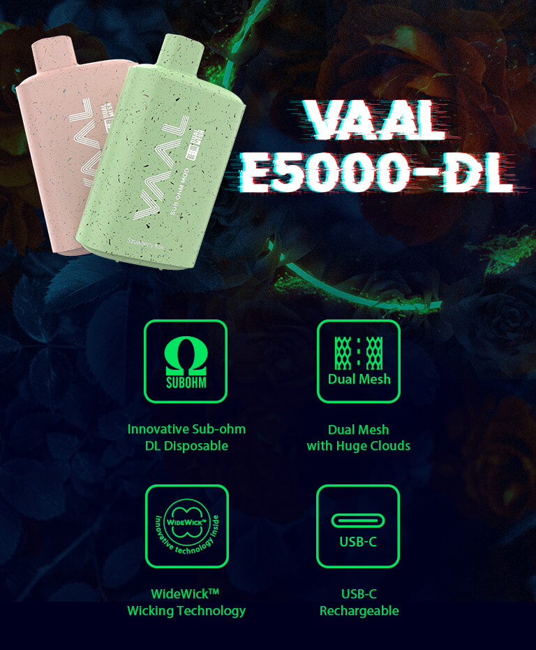 vaal e5000 dl